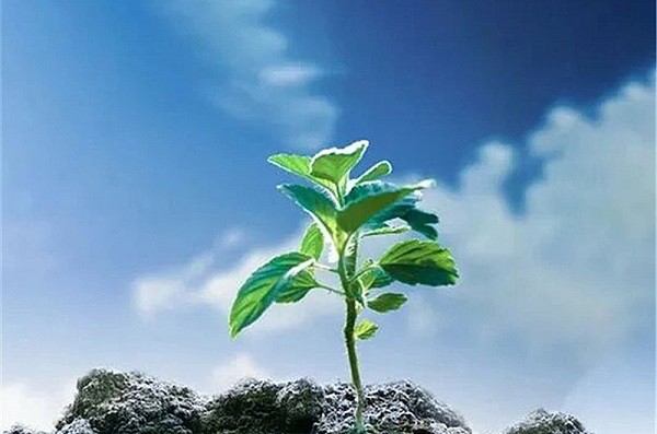 Environmental Friendliness and Safety Environmental Friendliness and Safety